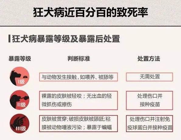 狂犬病的潜伏期是多久，猫得狂犬病的潜伏期是多久 - 警犬训练器材厂家 _警犬训练用品_工作犬训练用品-南京开久警犬装备-警犬训练器材厂家 _警犬训练用品_工作犬训练用品-南京开久警犬装备