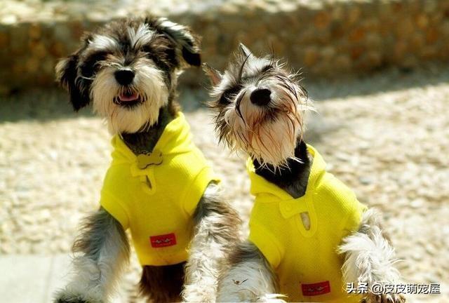 20221106094612_12958