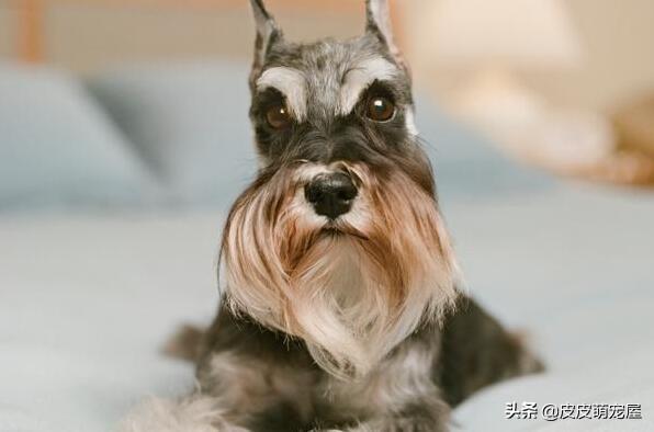 20221106094612_38950