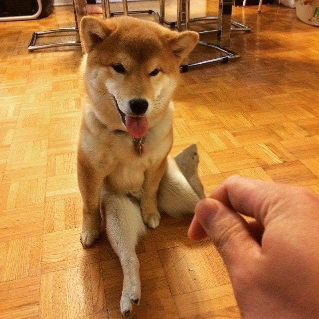 20221106100206_72131