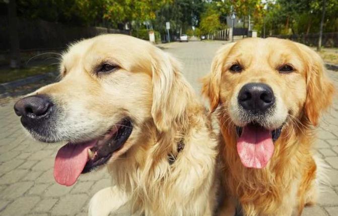 20221106103001_53082