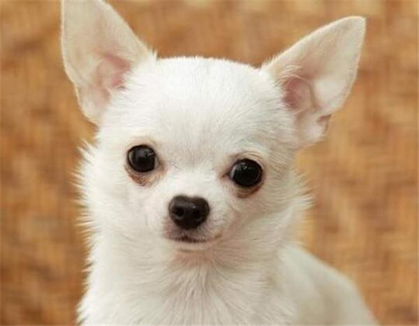 20221106103001_53965