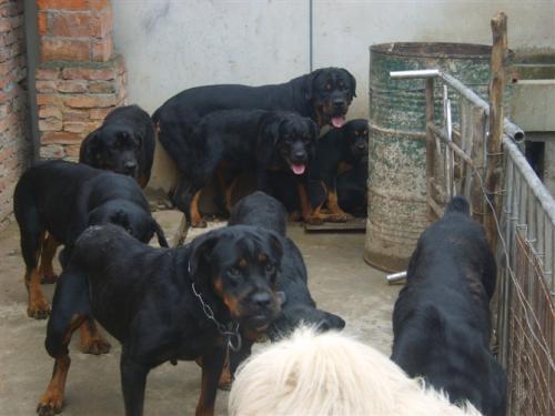 20221106104309_32457 20221106104309_32457