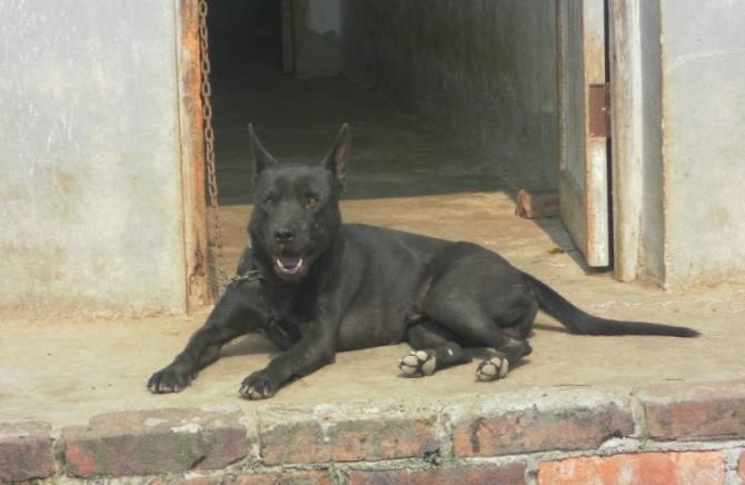 20221106104309_92363 20221106104309_92363