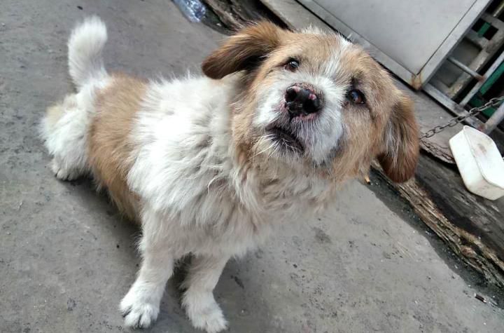 20221106104310_26517 20221106104310_26517