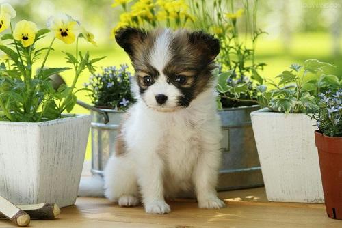 20221106110134_25170