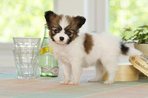 20221106110135_88972