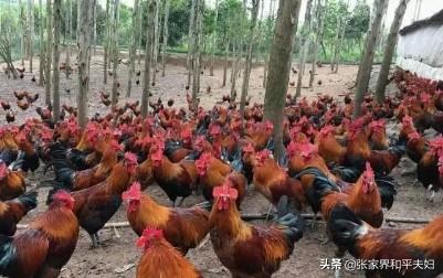 20221106111150_42626