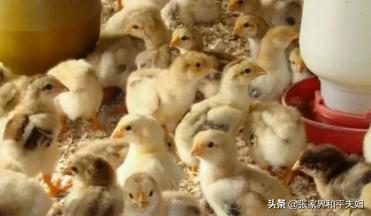 20221106111150_97630