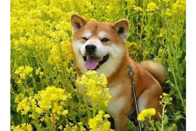 20221106115129_48548