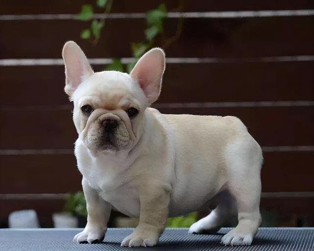 20221106123405_73996