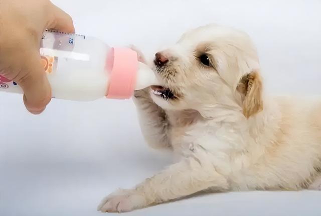 20221106123525_25805