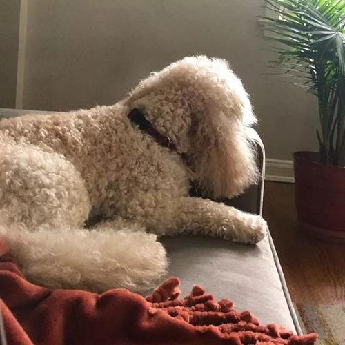 20221106124441_10571