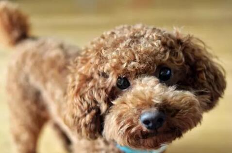 20221106124441_85899