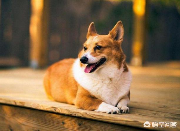 20221106125139_78974