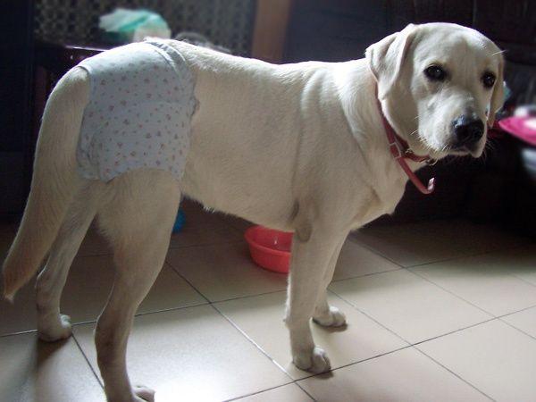 20221106130029_76652