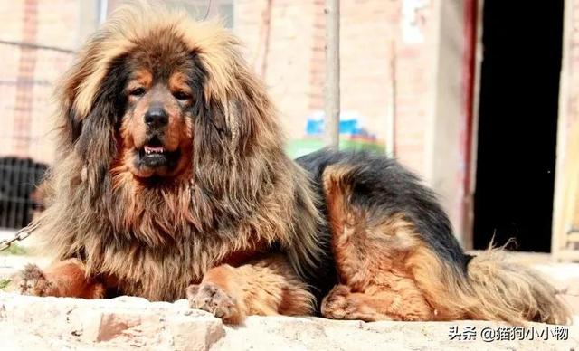 20221106130052_37039