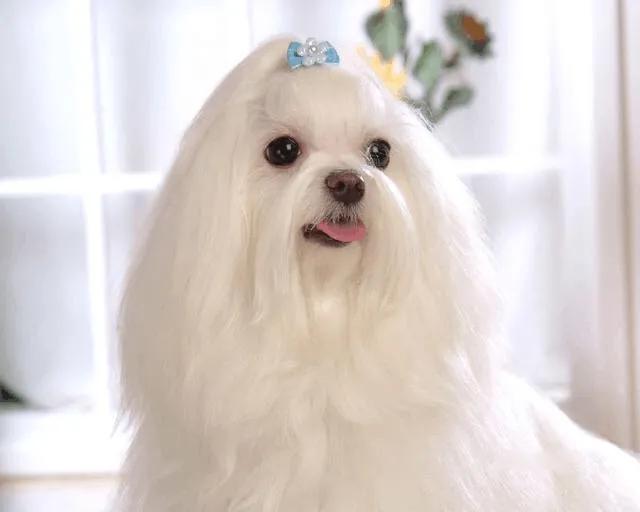 20221106130119_26786 20221106130119_26786