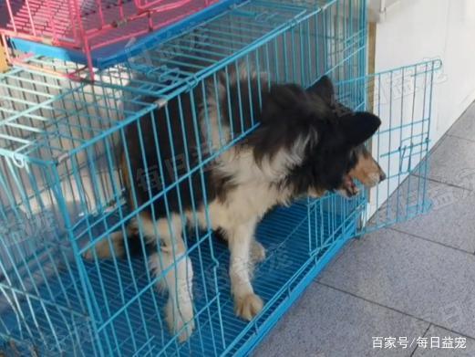 20221106130305_55135 20221106130305_55135