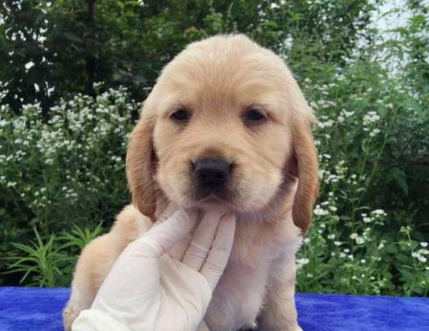 20221106131757_85203