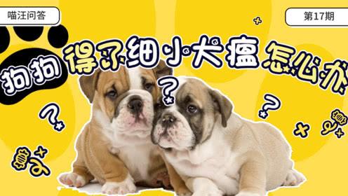 20221106131842_23985