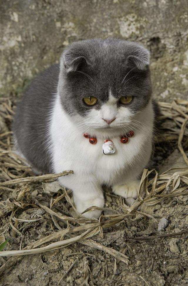 20221106132159_37720