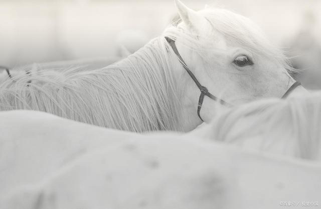 20221106132200_88611