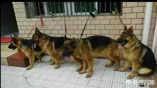 20221106143519_68995