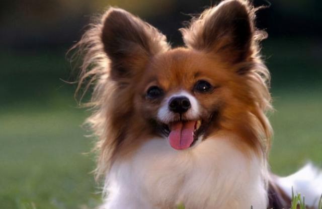 20221106144336_66787