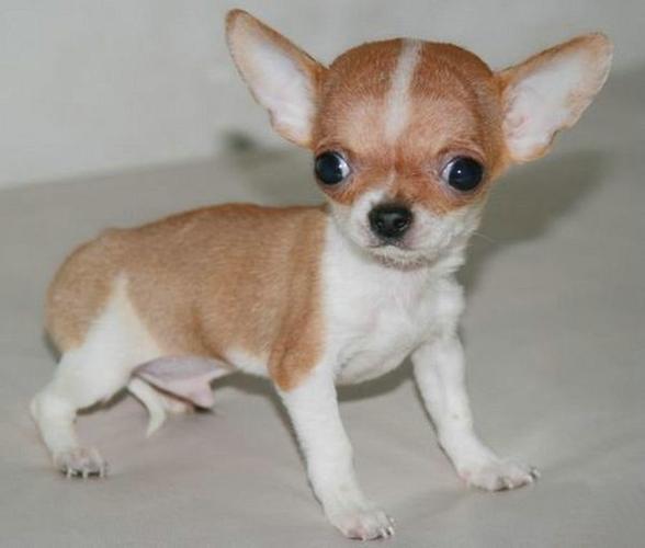 20221106144657_11112