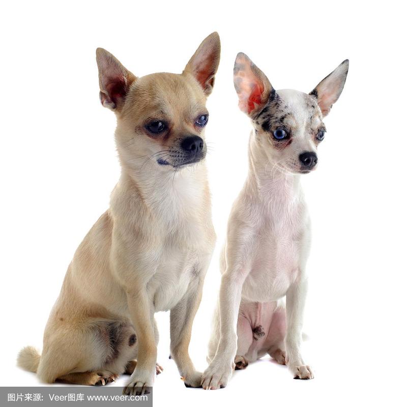 20221106144657_59364