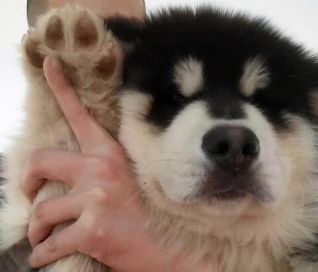 20221106150408_10497