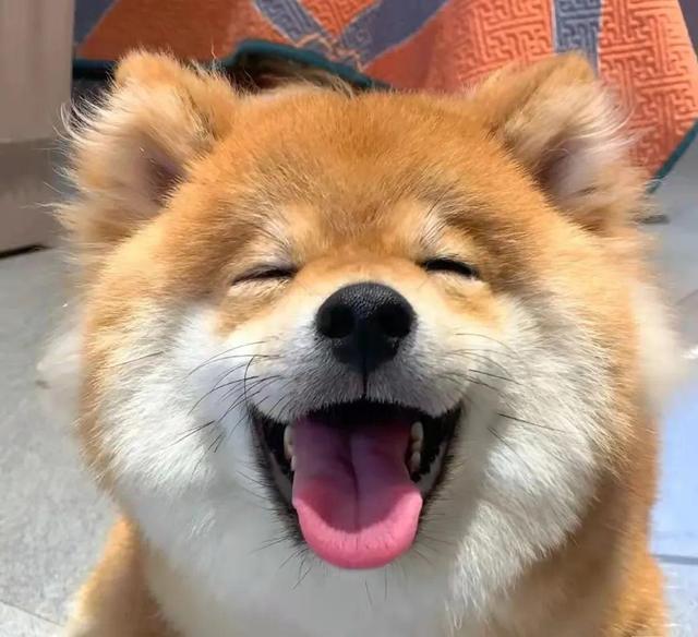 20221106150707_16308 20221106150707_16308