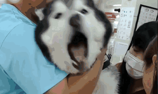 20221106150707_65743 20221106150707_65743