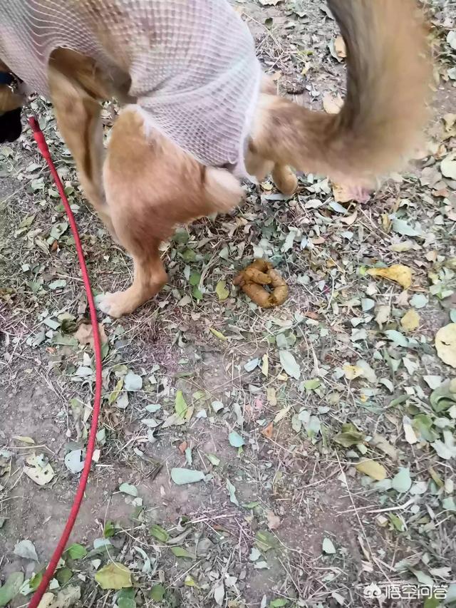 20221106151022_16006