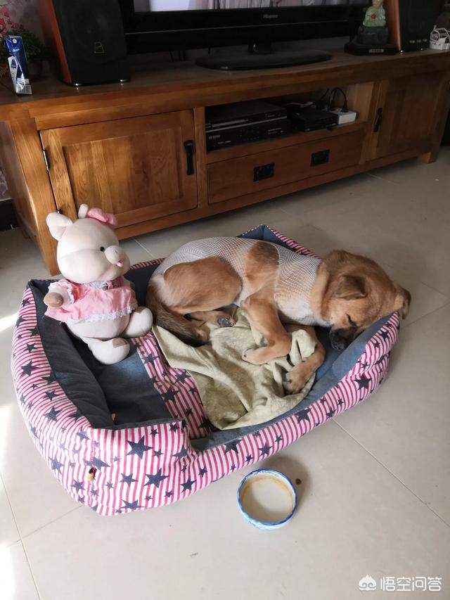 20221106151022_91890