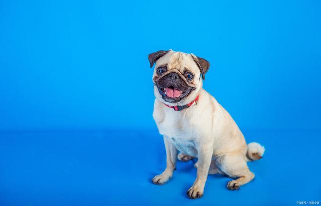 20221106152041_87987 20221106152041_87987