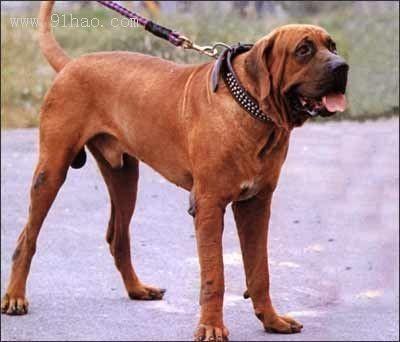 20221106152042_50153 20221106152042_50153