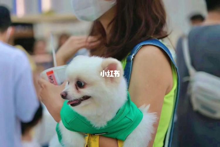 20221106152426_93536