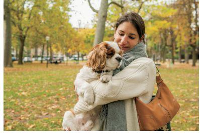 花都哪里可以带狗玩(花都哪里有卖狗的地方) - 警犬训练器材厂家 _警犬训练用品_工作犬训练用品-南京开久警犬装备-警犬训练器材厂家 _警犬训练用品_工作犬训练用品-南京开久警犬装备