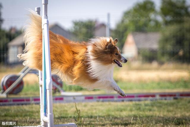 20221106154018_79675