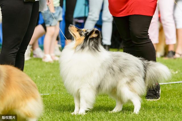 20221106154019_96771