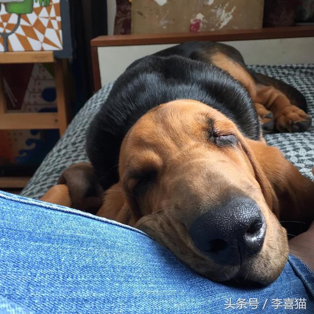 20221106154426_45613