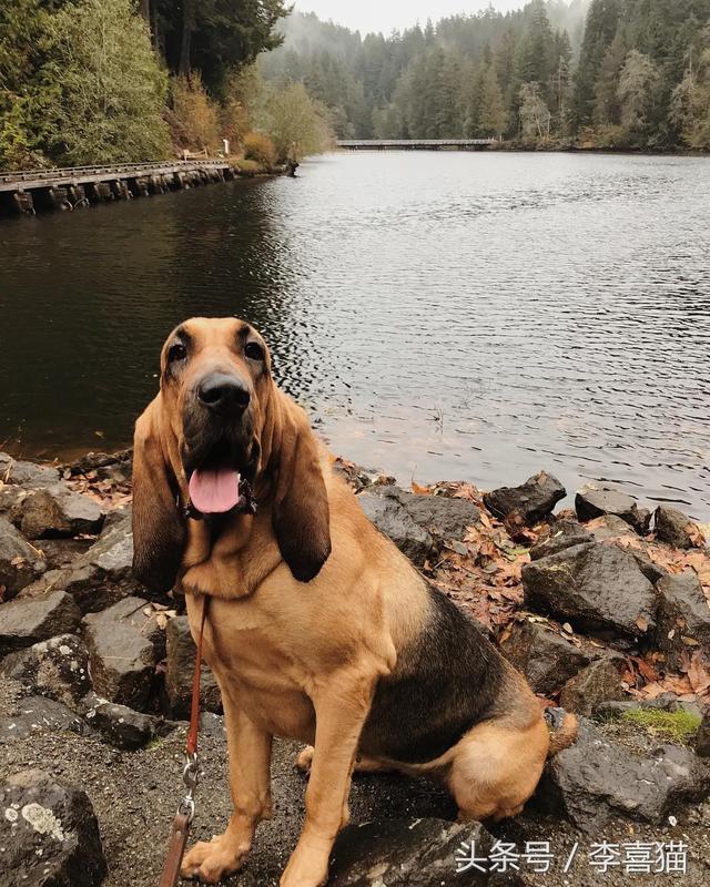 20221106154426_50895