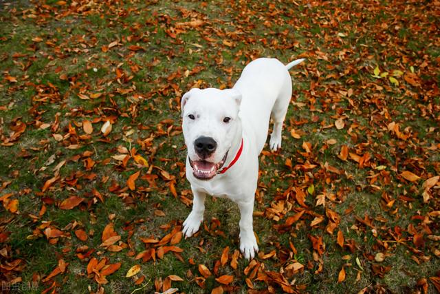 20221106154459_28839 20221106154459_28839