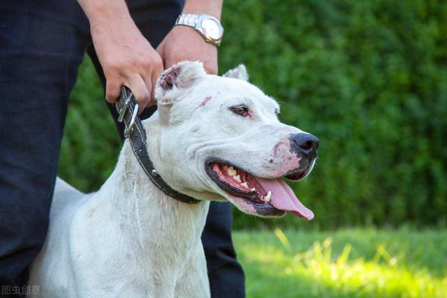 20221106154500_29167 20221106154500_29167