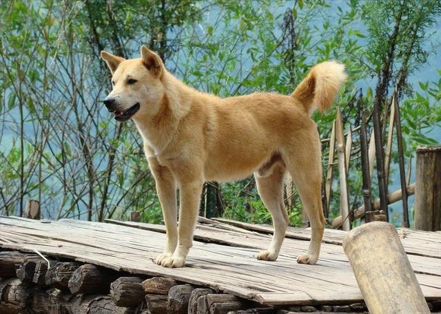 20221106160509_16209 20221106160509_16209