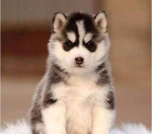 20221106161544_36550 20221106161544_36550