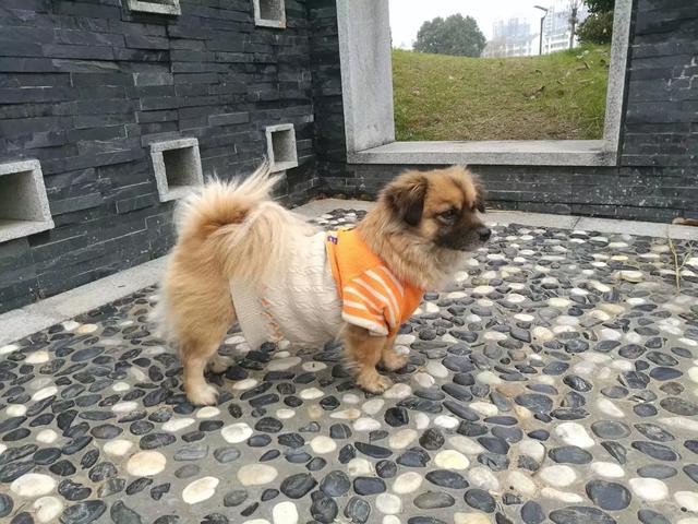 20221106162118_72108