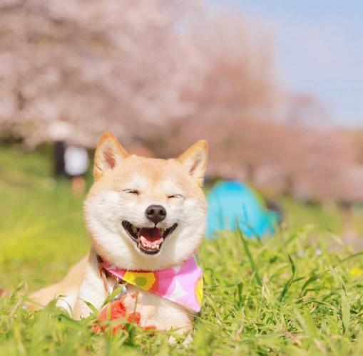 20221106162552_82109